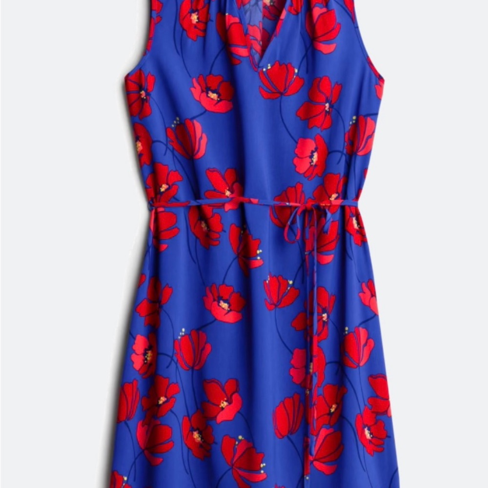 Floral Blue and Red Dress